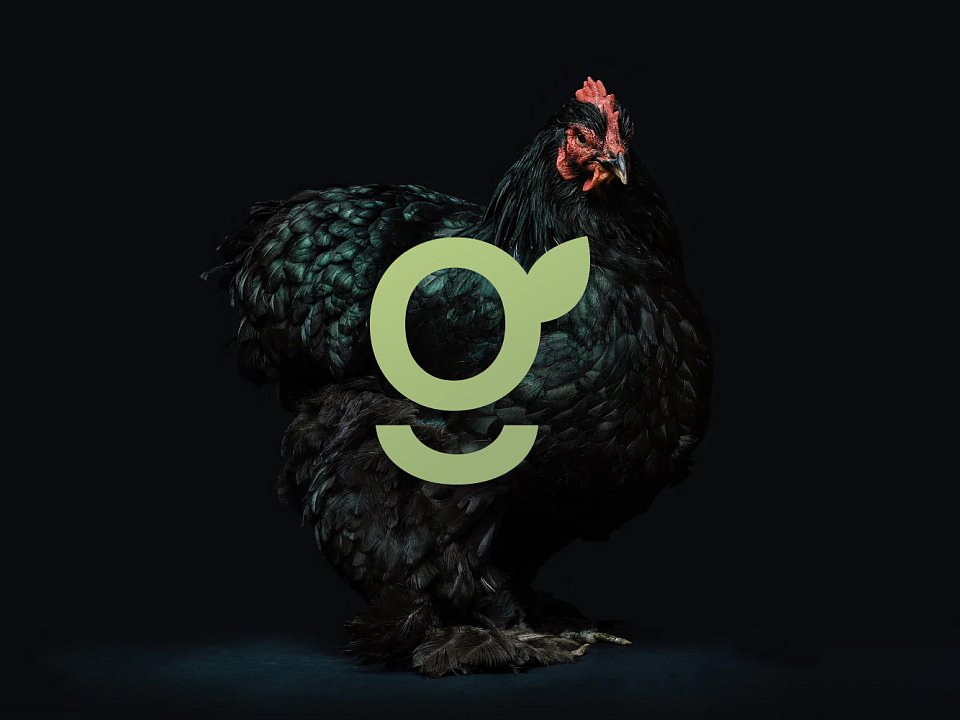 Logo green innovations