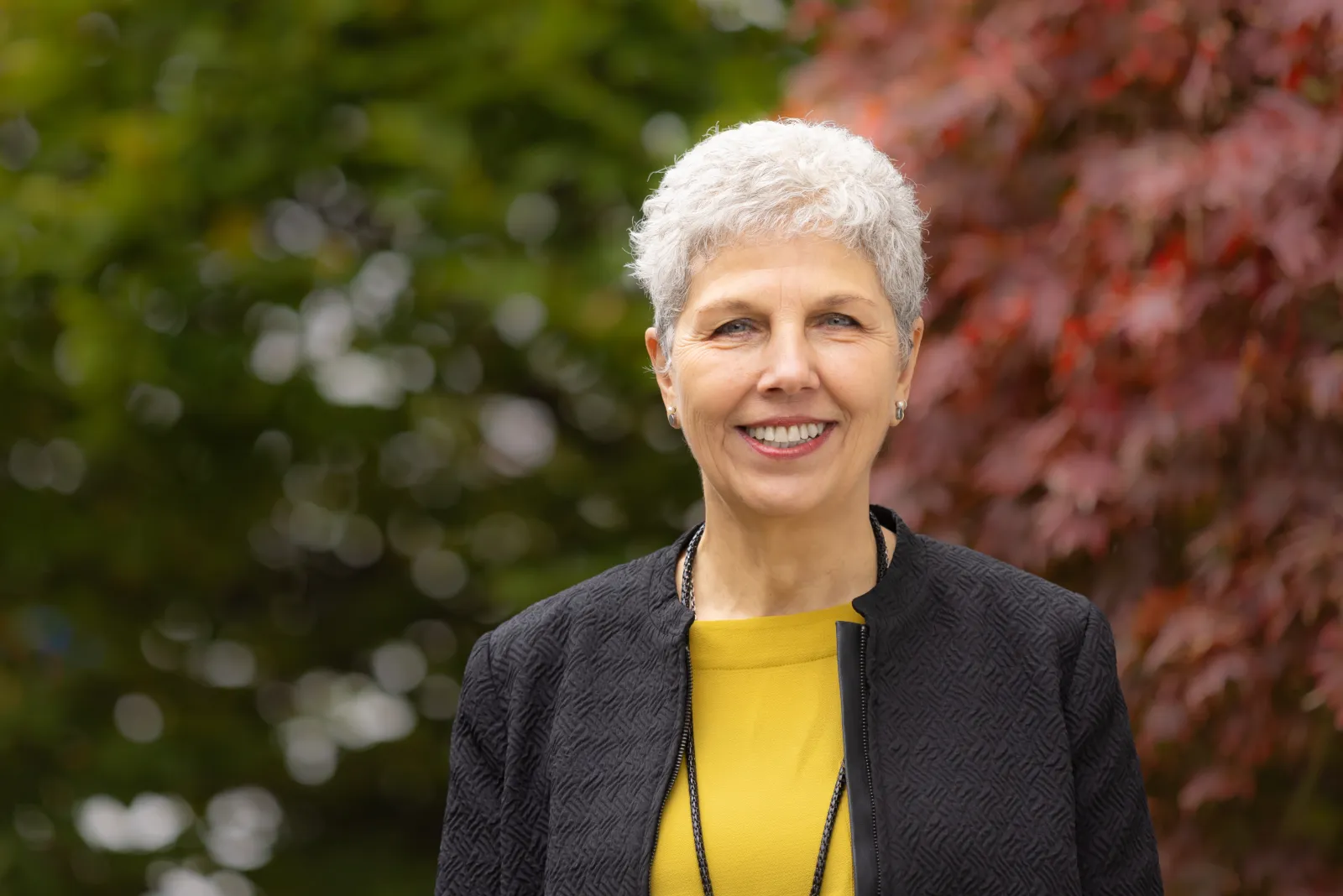 Montessori Landesverband Bayern