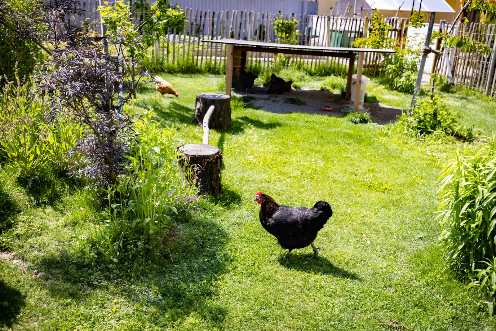 Ramsteiner Gartenbau