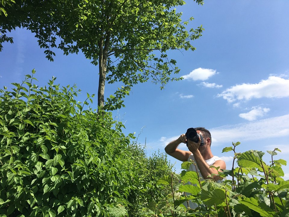 Büro VIEREGG Design